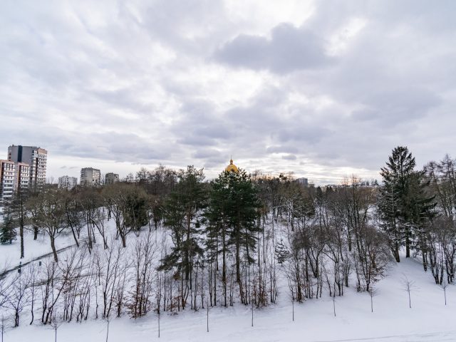 DSC_0480