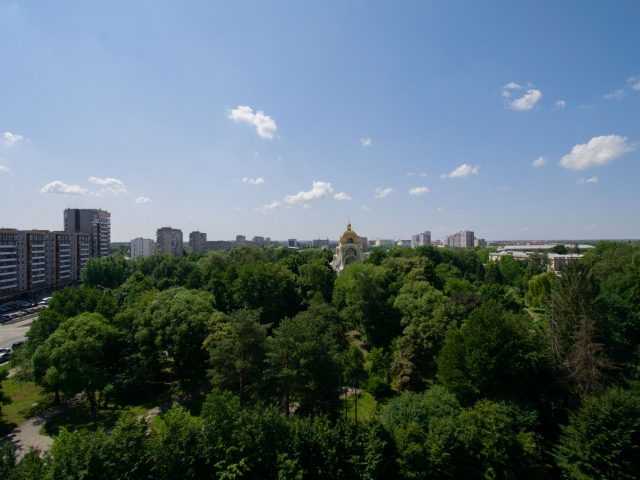 DSC_0557
